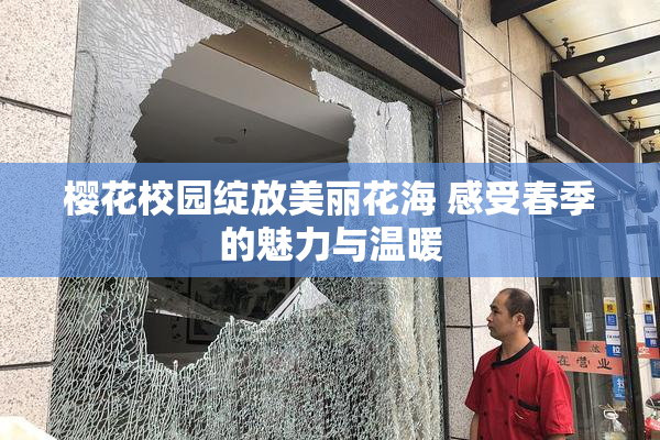 樱花校园绽放美丽花海 感受春季的魅力与温暖