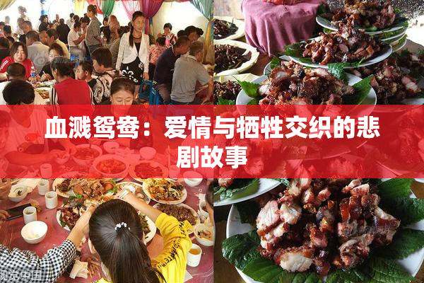 血溅鸳鸯：爱情与牺牲交织的悲剧故事