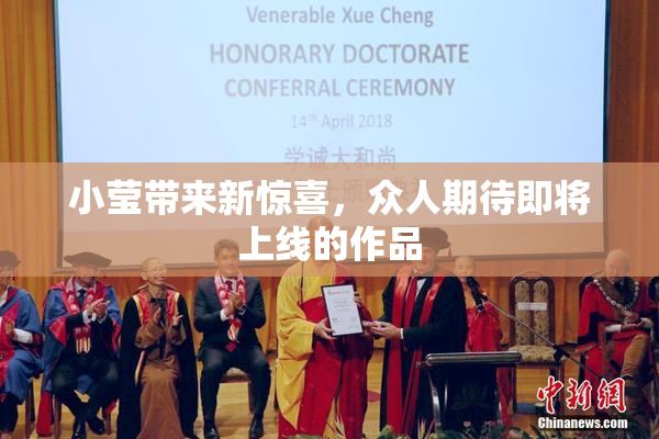 小莹带来新惊喜，众人期待即将上线的作品