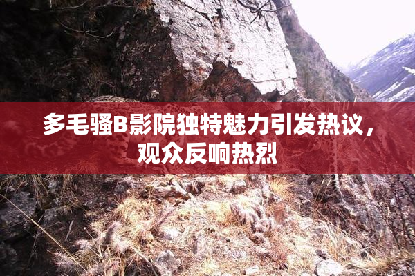 多毛骚B影院独特魅力引发热议，观众反响热烈