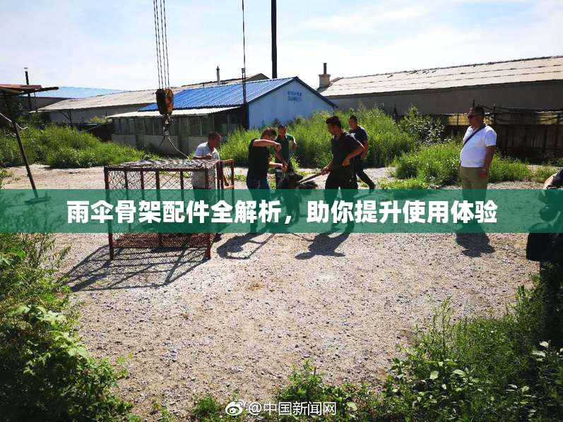 雨伞骨架配件全解析，助你提升使用体验