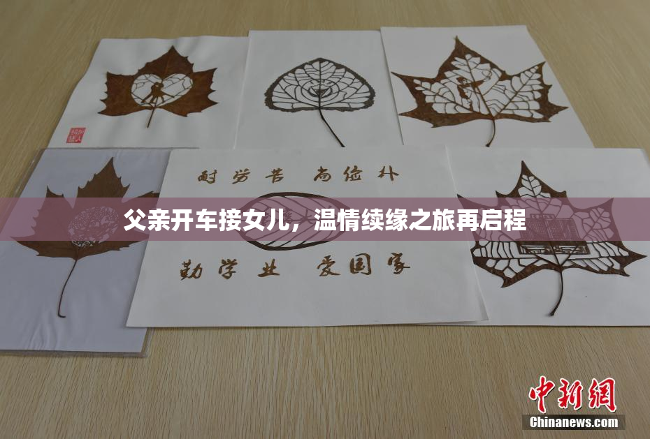 父亲开车接女儿，温情续缘之旅再启程