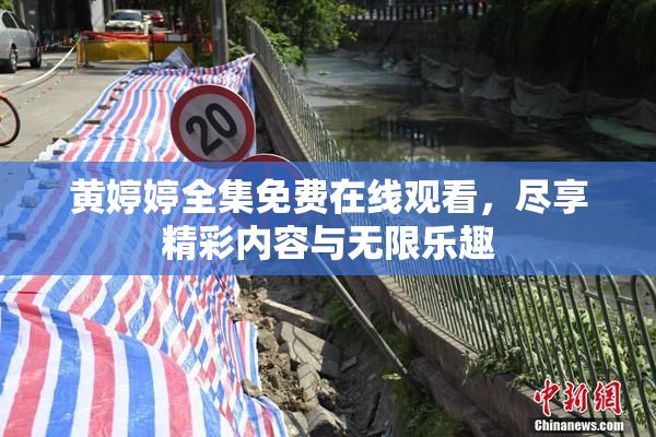 黄婷婷全集免费在线观看，尽享精彩内容与无限乐趣