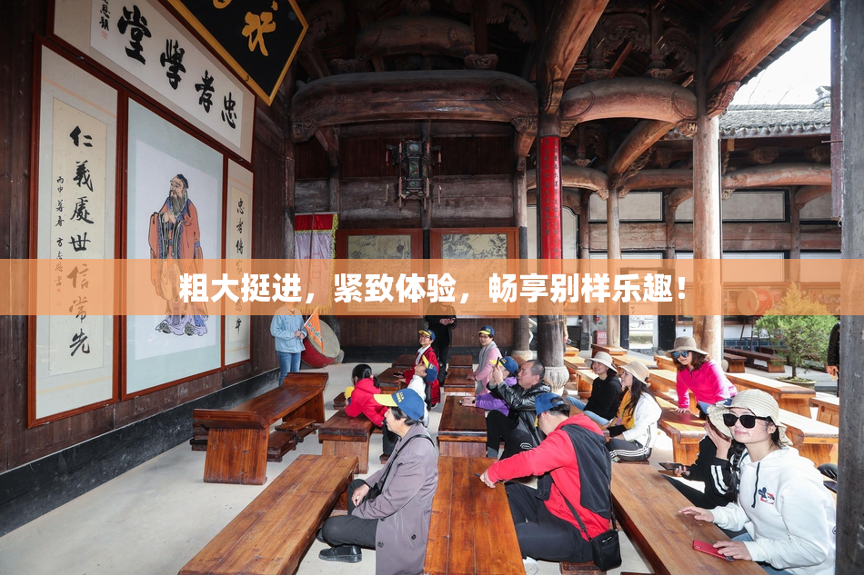 粗大挺进，紧致体验，畅享别样乐趣！