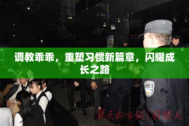 调教乖乖，重塑习惯新篇章，闪耀成长之路