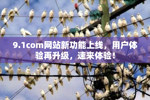 9.1com网站新功能上线，用户体验再升级，速来体验！