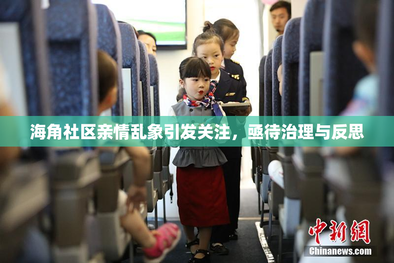 海角社区亲情乱象引发关注，亟待治理与反思