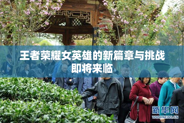 王者荣耀女英雄的新篇章与挑战即将来临