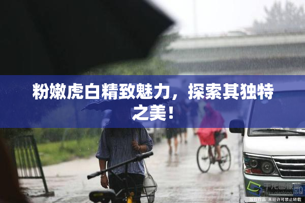 粉嫩虎白精致魅力，探索其独特之美！