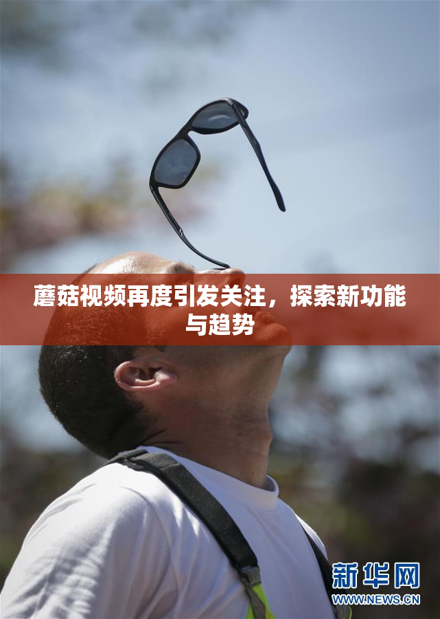 蘑菇视频再度引发关注，探索新功能与趋势