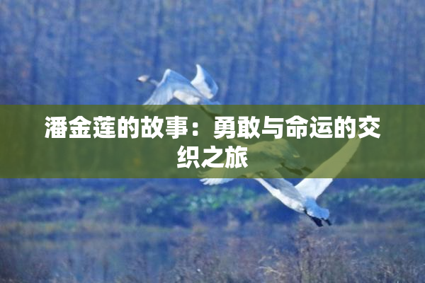 潘金莲的故事：勇敢与命运的交织之旅