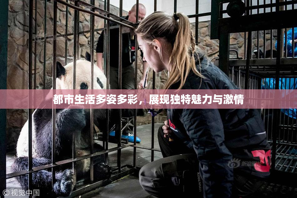 都市生活多姿多彩，展现独特魅力与激情