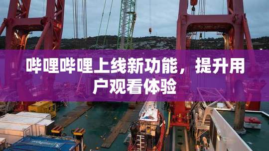哔哩哔哩上线新功能，提升用户观看体验