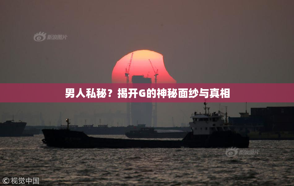 男人私秘？揭开G的神秘面纱与真相