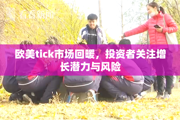 欧美tick市场回暖，投资者关注增长潜力与风险
