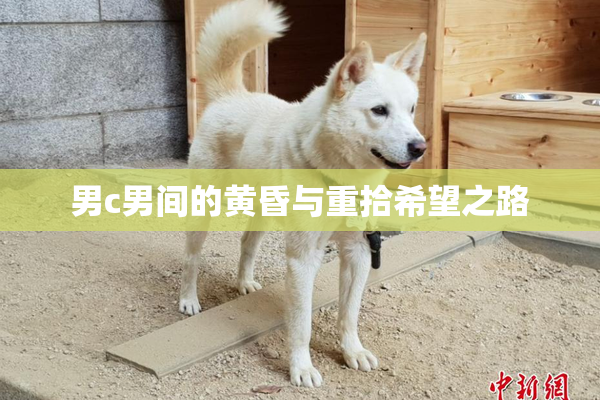 男c男间的黄昏与重拾希望之路