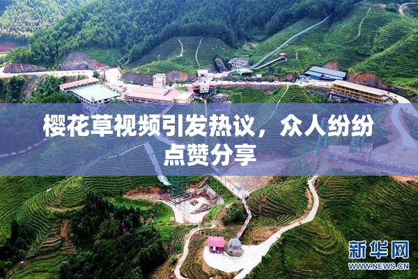 樱花草视频引发热议，众人纷纷点赞分享