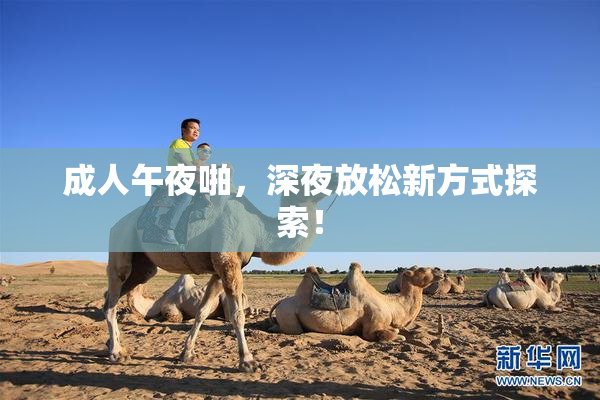 成人午夜啪，深夜放松新方式探索！