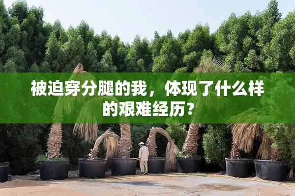 被迫穿分腿的我，体现了什么样的艰难经历？