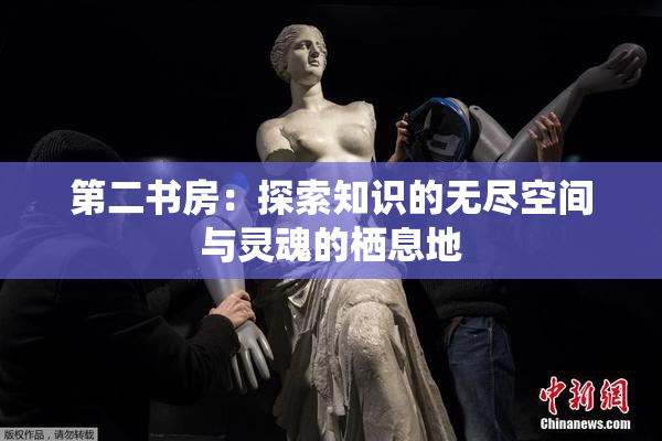 第二书房：探索知识的无尽空间与灵魂的栖息地