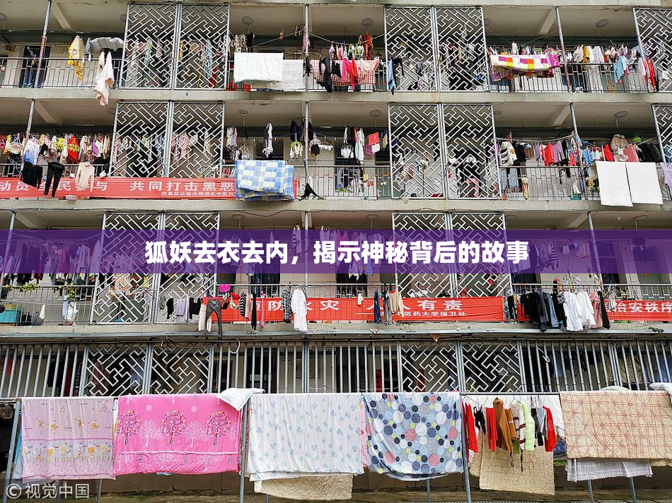 狐妖去衣去内，揭示神秘背后的故事