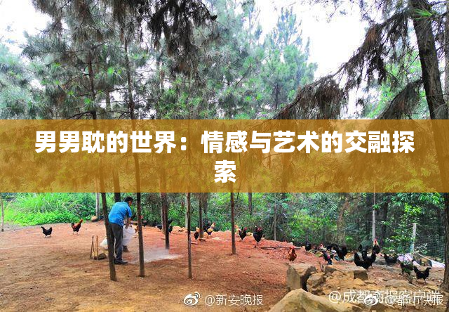 男男耽的世界：情感与艺术的交融探索