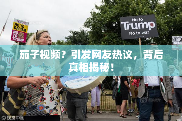 茄子视频？引发网友热议，背后真相揭秘！