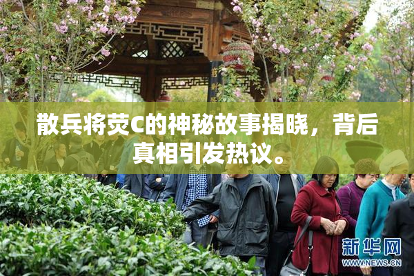 散兵将荧C的神秘故事揭晓，背后真相引发热议。