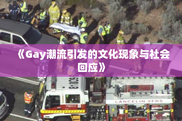 《Gay潮流引发的文化现象与社会回应》