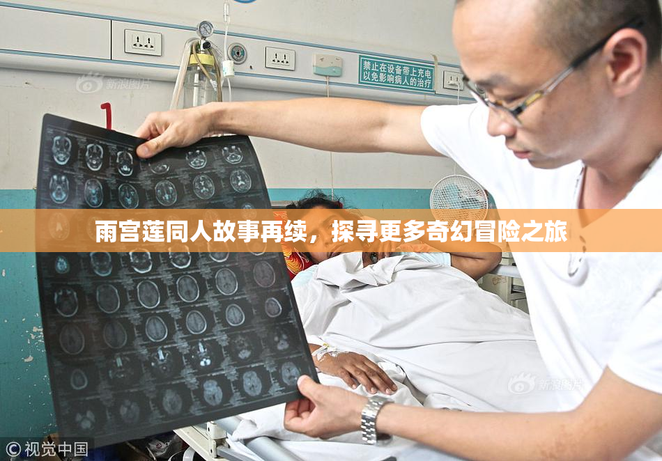 雨宫莲同人故事再续，探寻更多奇幻冒险之旅