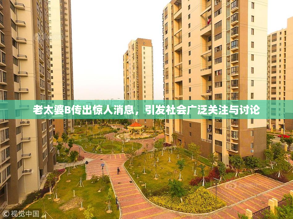 老太婆B传出惊人消息，引发社会广泛关注与讨论