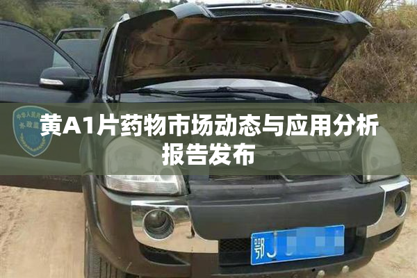 黄A1片药物市场动态与应用分析报告发布