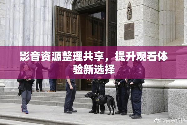 影音资源整理共享，提升观看体验新选择