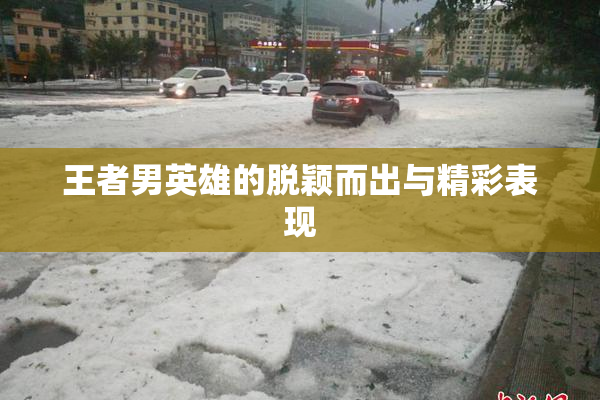 王者男英雄的脱颖而出与精彩表现