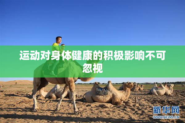 运动对身体健康的积极影响不可忽视