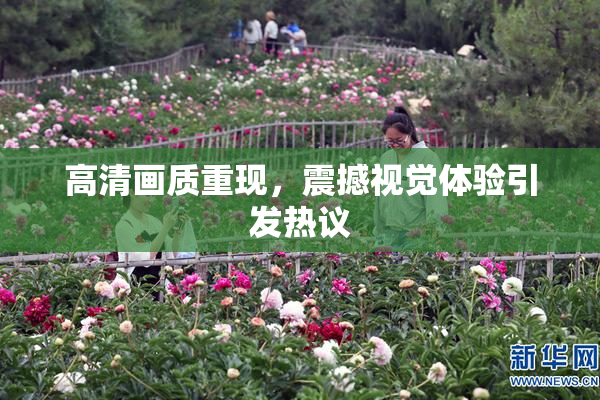 高清画质重现，震撼视觉体验引发热议