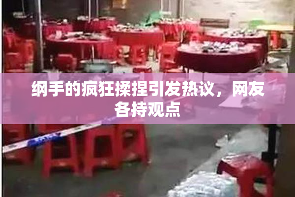 纲手的疯狂揉捏引发热议，网友各持观点