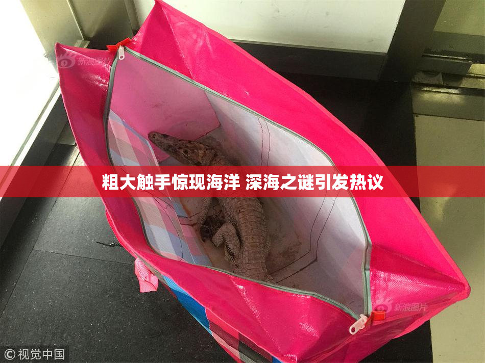 粗大触手惊现海洋 深海之谜引发热议