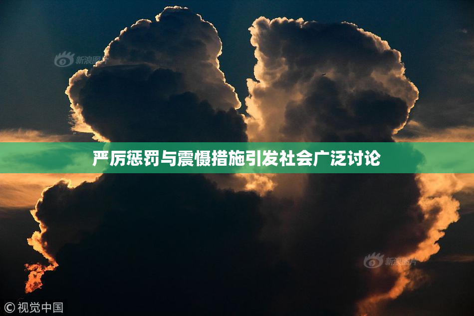 严厉惩罚与震慑措施引发社会广泛讨论