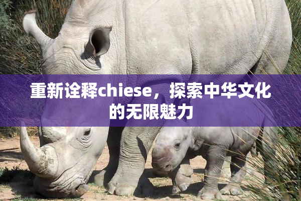 重新诠释chiese，探索中华文化的无限魅力