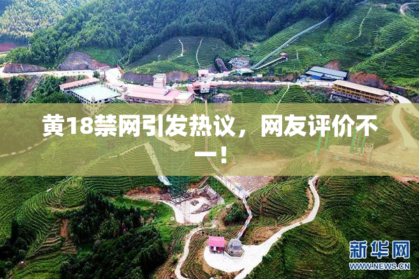 黄18禁网引发热议，网友评价不一！