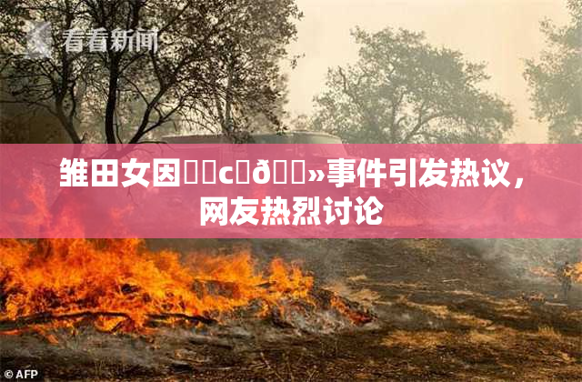 雏田女因❌‌c‌🐻事件引发热议，网友热烈讨论