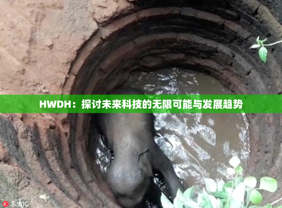 HWDH：探讨未来科技的无限可能与发展趋势