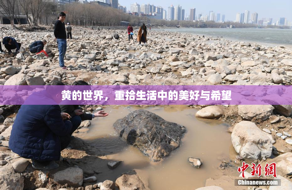 黄的世界，重拾生活中的美好与希望
