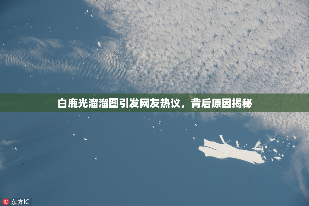 白鹿光溜溜图引发网友热议，背后原因揭秘