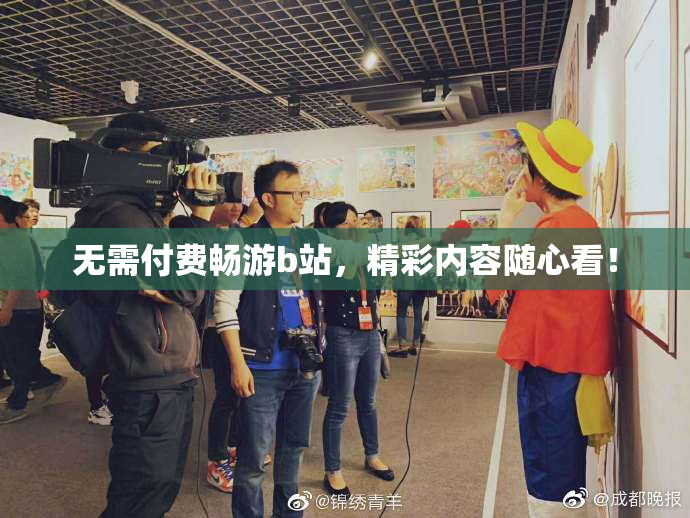 无需付费畅游b站，精彩内容随心看！