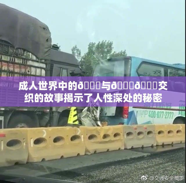 成人世界中的🍆与🍑🔞交织的故事揭示了人性深处的秘密