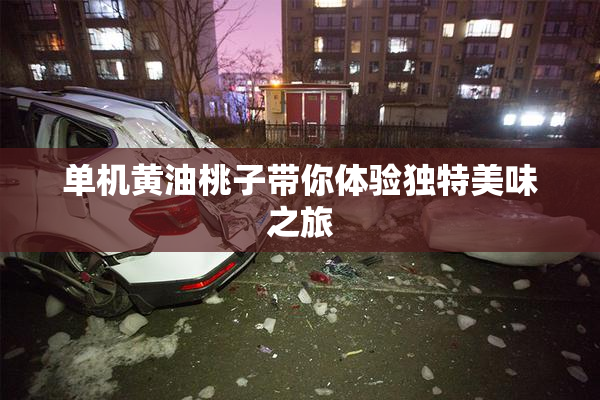 单机黄油桃子带你体验独特美味之旅