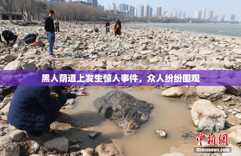 黑人荫道上发生惊人事件，众人纷纷围观