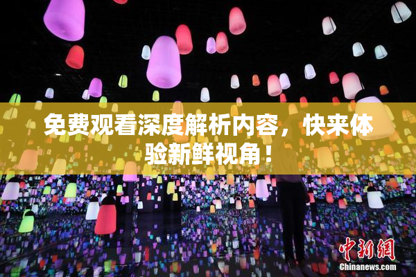 免费观看深度解析内容，快来体验新鲜视角！